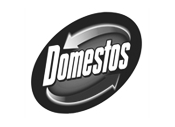 client-logo-domestos
